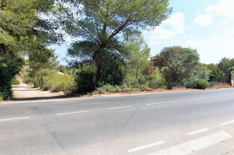 0 Chambres - Jávea - Xàbia — 4/4