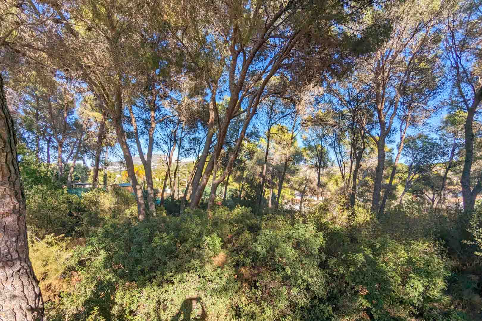 6 Bedrooms - Moraira — 9/18