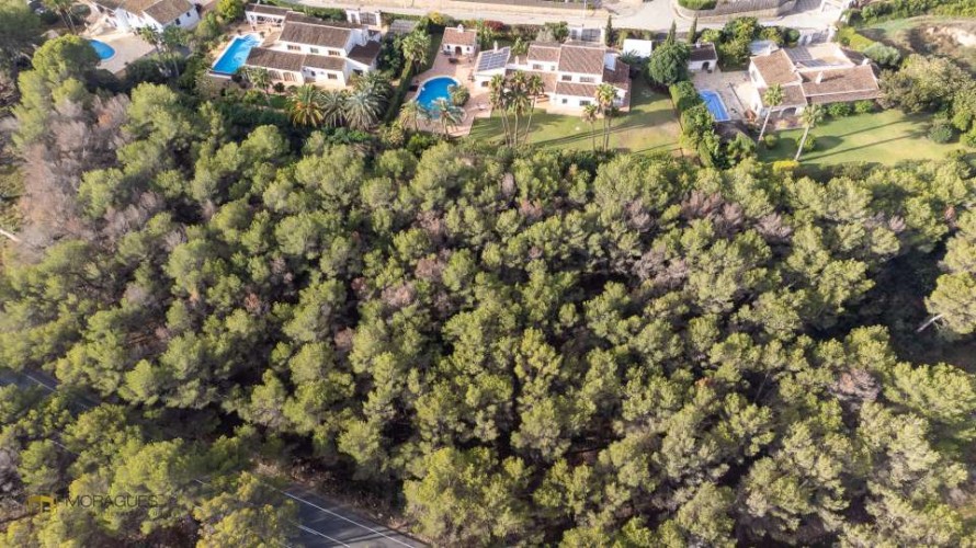 Land - Jávea — 6/6