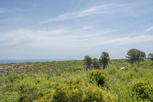 0 Bedrooms - Jávea — 11/11