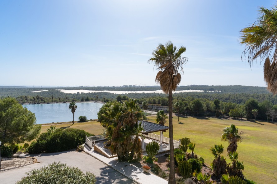 15 Dormitorios - Torrevieja — 9/40