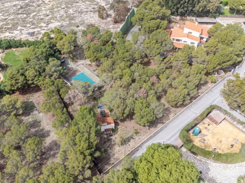 5 Bedrooms - Alicante / Alacant — 5/53