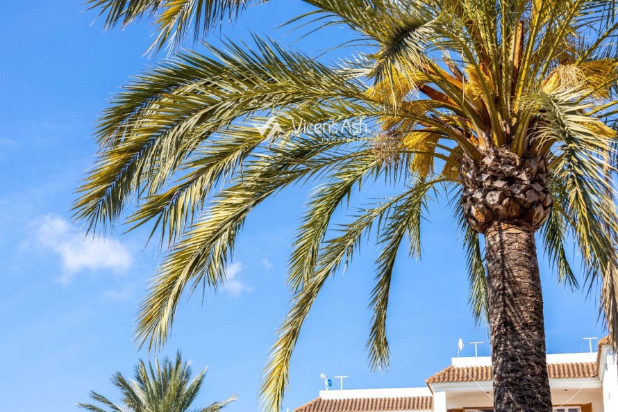 2 Bedrooms - Javea/Xabia — 25/39
