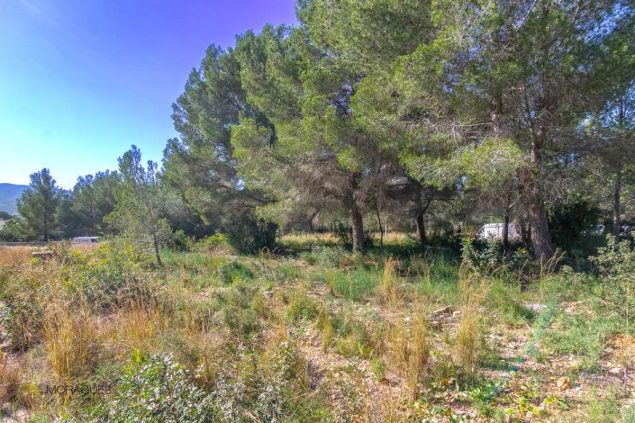 Land - Jávea — 3/3