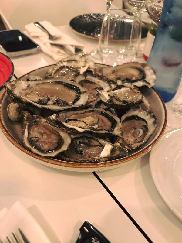 Oysters