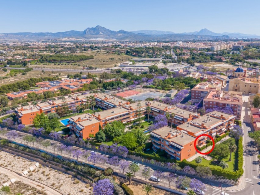 4 Bedrooms - Alicante / Alacant — 4/39