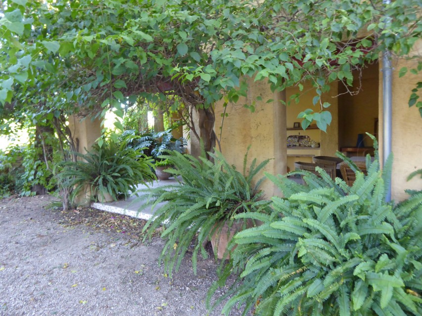 7 Bedrooms - — 7/29