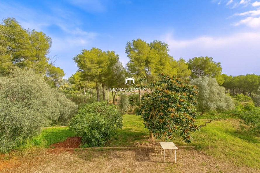 Land - Jávea — 4/7