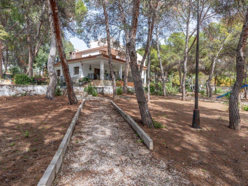 5 Bedrooms - Alicante / Alacant — 44/53