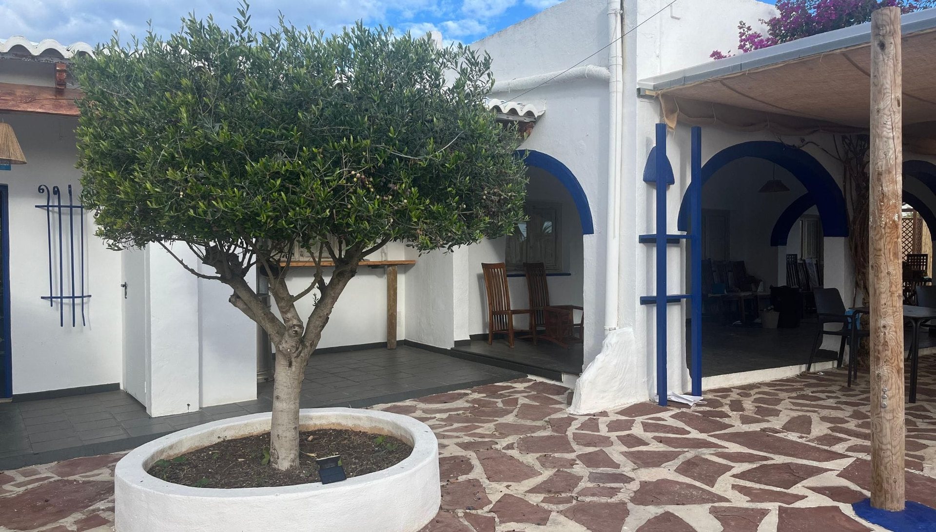 Le patio de l'olivier
