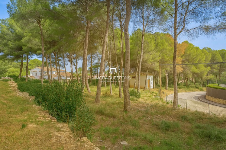 Land - Jávea — 6/7